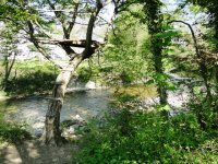 Il était une fois une cabane au bord de l'Hyères...