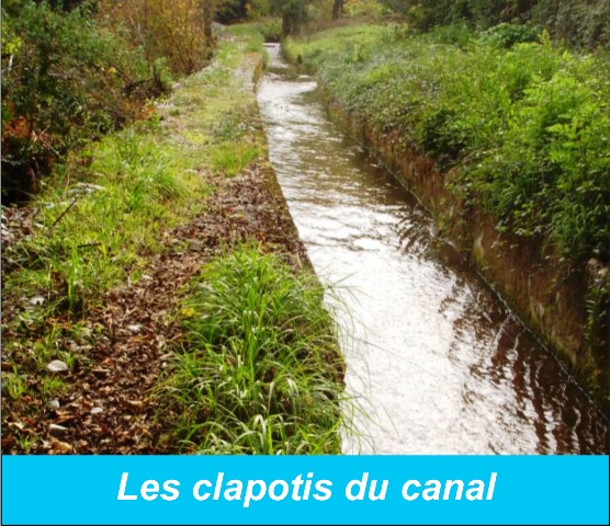 les clapotis du canal